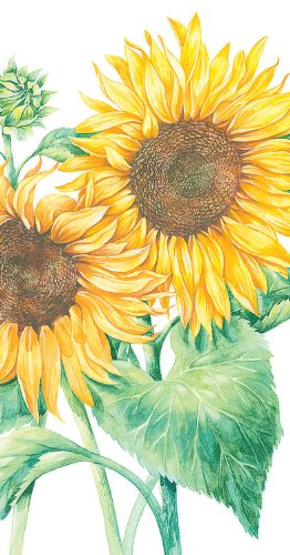 Ideal Home Range 16 Count Boston International 3-Ply Paper Guest Towel Napkins, White Mirasol