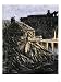 Destruction from the New Madrid, Missouri, Earthquake of 1811 in the Mississippi Valley Giclee Poster Print, 30x40