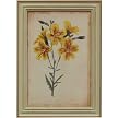 curtis blooms yellow #4