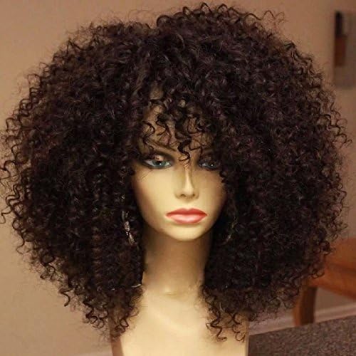 Unprocessed Natural Black Color Glueless Afro kinky Curly Brazilian Virgin Hair Lace Front Wig (18 Inch)