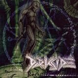 Cognitine Dissoance