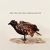 Image of album by Steve Riley and the Mamou Playboys