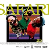 【スキー DVD】 SAFARI(サファリ) [DVD]