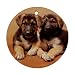 German Shepherd Puppies Ornament (Round)
