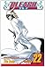Bleach, Vol. 22