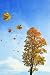 Fall of the Leaves - 18H x 12W - Peel and Stick Wall Decal by Wallmonkeys