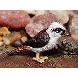Eigenschaften Modellpferdeversand / Jägerliest - Lachender Hans - Kookaburra