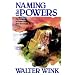 Naming the Powers: Language of Power in the New Testament (The Powers : Volume One)