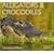 Alligators & Crocodiles (Worldlife Library)