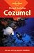 Lonely Planet Diving & Snorkeling Cozumel (3rd ed) by George S. Lewbel