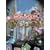 Monopoly Tycoon (PC)