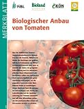 Biologischer Anbau von Tomaten