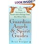 Guardian Angels and Spirit Guides (Visions, Signet)