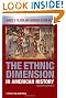 The Ethnic Dimension in American History