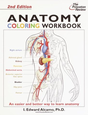 Anatomy Coloring Workbook, Second Edition (Coloring Workbooks) (Bk. 2)