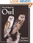 How to Spot an Owl