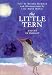 The Little Tern: A Story of Insight