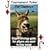 Tournament Poker for Donkeys. Expert strategy guide for players who want to stop losing!