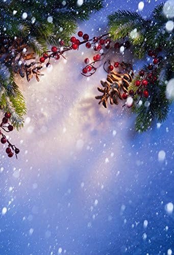 5x7ft Pine Boughs and Red Berries on Snow Photo Backgrounds no Wrinkle Photography Backdrops for Christmas wdsd057