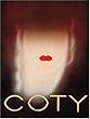 Coty: The Brand of Visionary