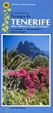 Search : Tenerife (French)