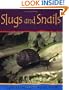 Slugs and Snails (Minibeasts)