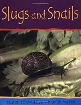 Minibeasts: Slugs and Snails