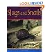 Slugs and Snails (Minibeasts)