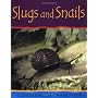Slugs and Snails-PB (Minibeasts)