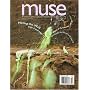 Muse