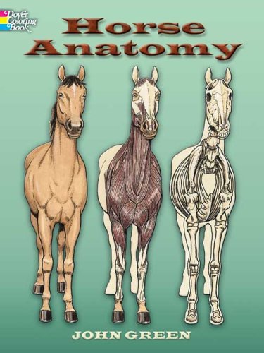 Horse Anatomy (Dover Pictorial Archive)