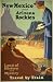 1925 NEW MEXICO TRAVEL BY TRAIN INDIAN TOURISM POSTER