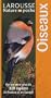 Oiseaux