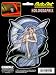 La Bella Luna (Jessica Galbreth) 6" x 8" Decal - Holographic