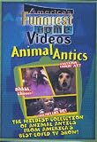 Animal Antics [DVD] [US Import] [NTSC]