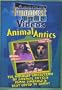 America's Funniest Home Videos - Animal Antics