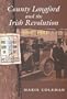 County Longford and the Irish Revolution 1910-1923 (New Directions in Irish History)