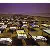 A Momentary Lapse of Reason