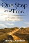 One Step at a Time: A Pilgrim's Guide to Spirit-Led Living