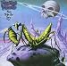 Praying Mantis-Time Tells No Lies