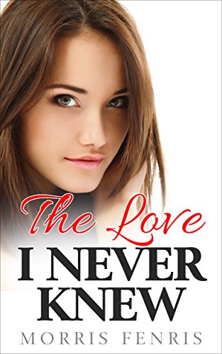 The Love I Never Knew: Contemporary Romance Mystery (Ariadne Silver Romance Mystery #1)