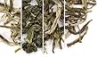 "Shanghai" Green Teas Sampler