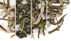 "Shanghai" Green Teas Sampler