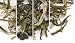 "Shanghai" Green Teas Sampler