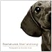 Dachshunds Short and Long at Amazon: 51DPwX7A%2B0L._SL75_