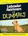 Labrador Retrievers For Dummies