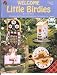 Welcome Little Birdies: 13 Painted Bird Feeders and Bird Baths for Outdoor Use (Decorative Painting, 9504)