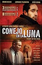 Conejo en la Luna