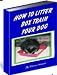 How To Litter Box Train Your Dog - Guaranteed Easy!