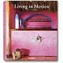Living in Mexico: Jumbo